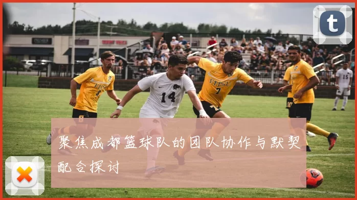 聚焦成都篮球队的团队协作与默契配合探讨