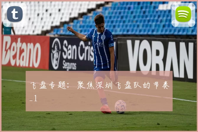 飞盘专题：聚焦深圳飞盘队的节奏_1